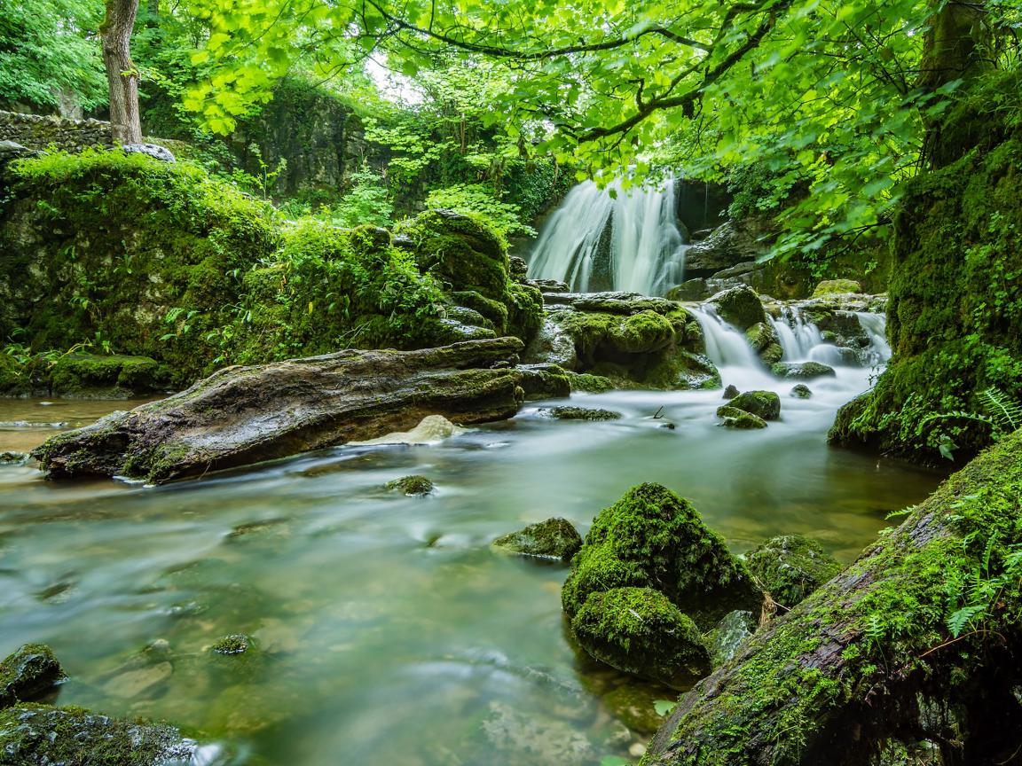 About us Westmoreland Supported Housing